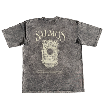 Camiseta Oversized Acid Wash "Proverbios 12:1" Gris Oscura